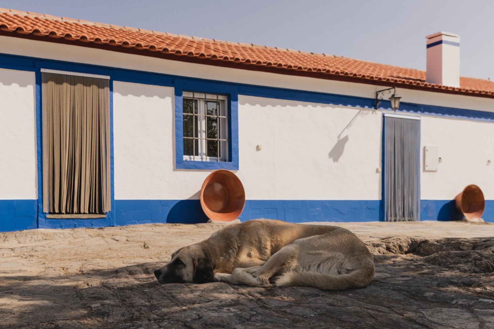 Monte Das Galhanas Monte do Pigeiro المظهر الخارجي الصورة